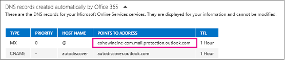 Microsoft SMTP AUTH Blog-DNS ScreenShot