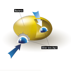 Silver Ions penetrating a bacteria cell