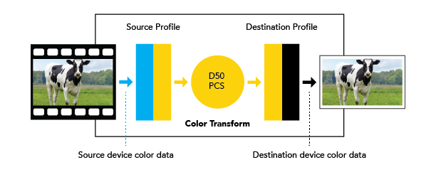 cowcolorcorrectioin